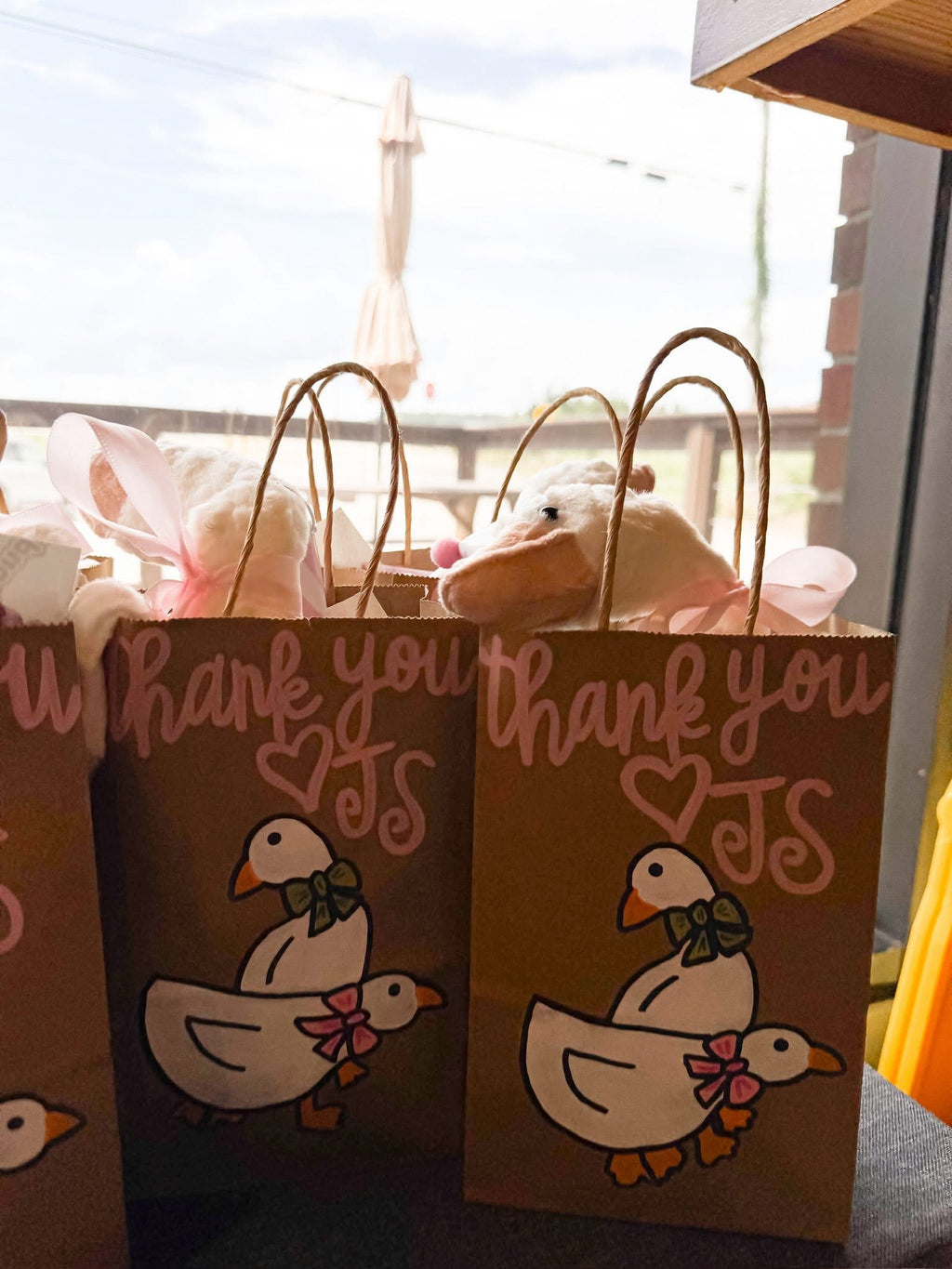 Hand Painted Gift Bags