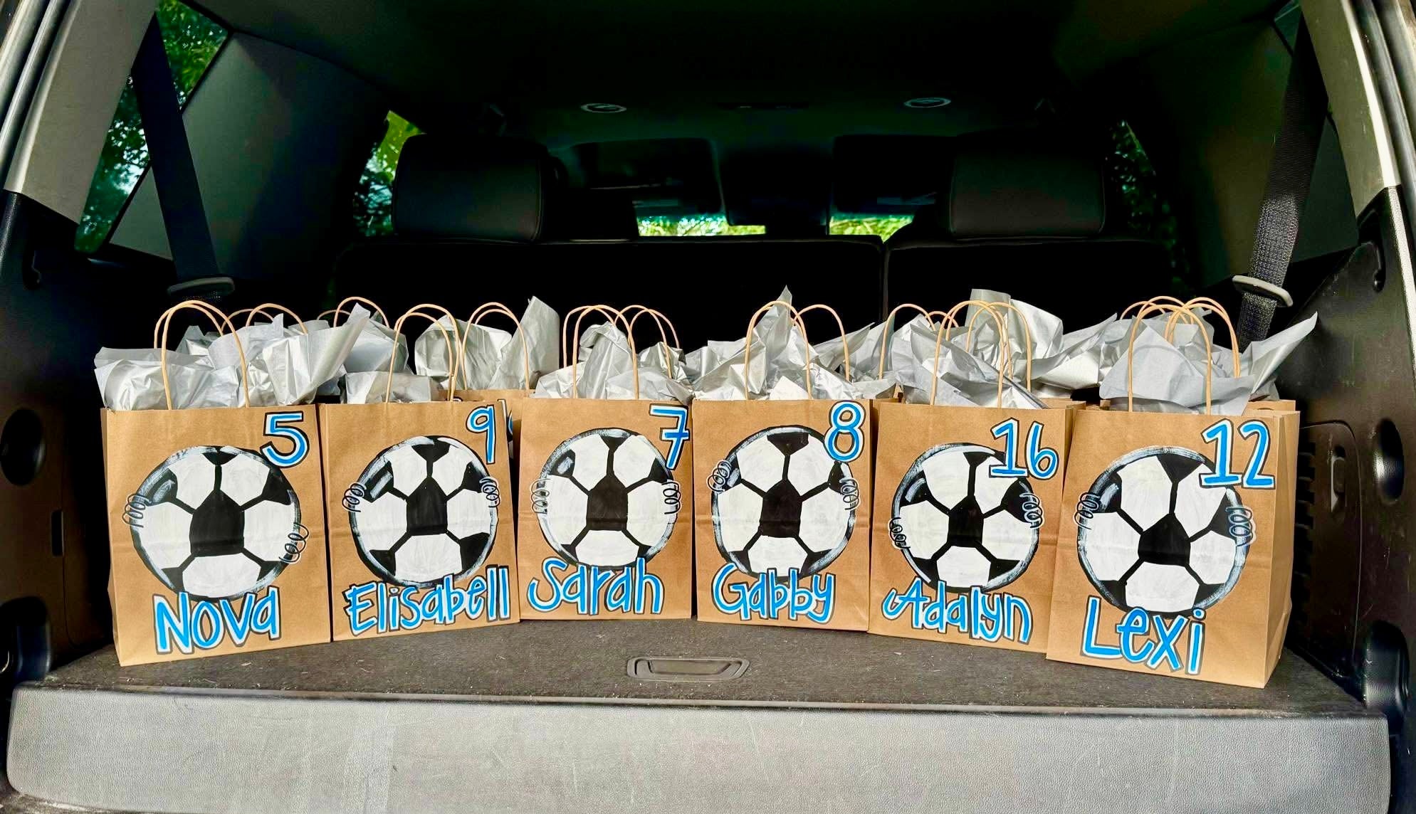 Hand Painted Gift Bags
